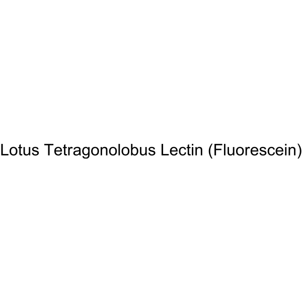 Lotus Tetragonolobus Lectin (Fluorescein)